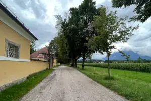 A tranquil, tree-lined path along Hellbrunner Allee, reminiscent of where Maria twirled and danced with unbridled joy in a scene of personal awakening and confidence.